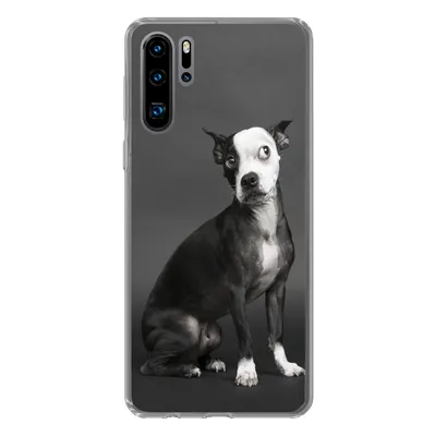 Produktbild von MuchoWow® Handyhülle Schutzhülle Hülle für Huawei P30 Pro Hund - Spot - Porträt Silikon Softcase Handy Hülle
