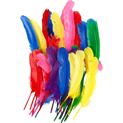 Produktbild von Creativ Company Federn, L: 20 cm, verschiedene Farben, 36 Stück 1 Box