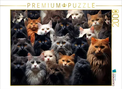Produktbild von CALVENDO Puzzle Viele Katzen auf einem Bild | 2000 Teile Lege-Größe 90x67cm Foto-Puzzle für glückliche Stunden