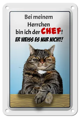 Produktbild von Blechschild Spruch 12x18cm Katze bei meinem Herrchen Chef
