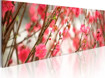 Produktbild von Modernes Wandbild 9060118 (120x40) - 1 Teilig Bilder Fotografie auf Vlies Leinwand Foto Bild Dekoration Wand Bilder Kunstdruck Blumen