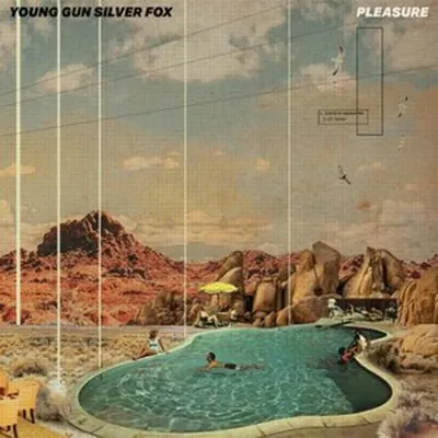 Produktbild von Pleasure