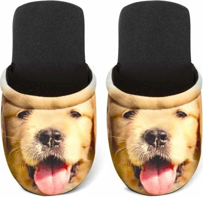 Produktbild von Betz Hausschuhe Pantoffel Pantolette Slipper für Sie und Ihn Hund Gold Gr. M / L Größe - M