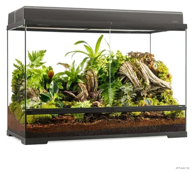 Productafbeelding van Exo Terra Pro Terrarium Zwart | Advanced Natural Terrarium 90×45×60 cm met 3-traps ventilatie