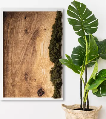 Produktbild von Moosbild mit Echtem Isländisch Moos - 40x60 cm - Weißer MDF-Rahmen - Naturbelassene Eichendiele