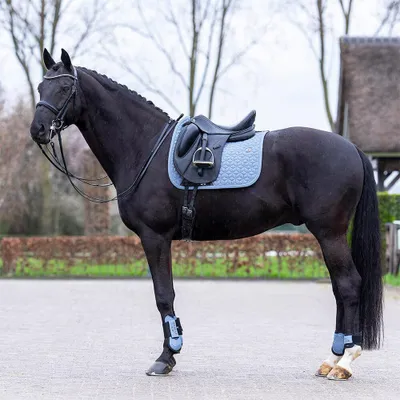 Produktbild von HV Polo Schabracke HVPEssential DR, Größe:Warmblut, Farbe:Dark mist blue
