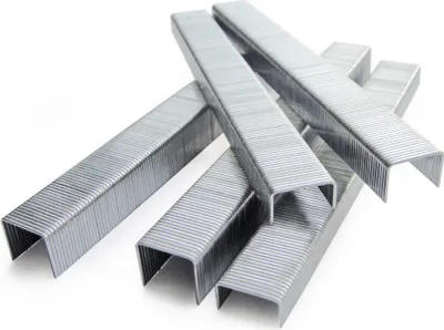 Image de Agrafes TACWISE 71/8 mm zinguées 20.000 pièces
