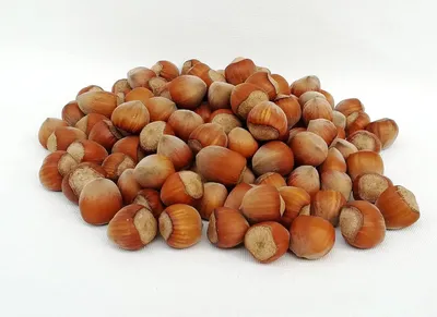 Produktbild von IGART Haselnüsse in der Schale 15kg 15000g | Hazelnuts | Naturbelassen