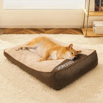 Immagine prodotto di Cuccia ortopedica per cani, dimensioni: lunghezza 100 cm, larghezza 75 cm, altezza 21 cm, colore marrone
