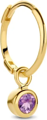 Produktbild von Jackie Gold JKS21.006 Ohrringe