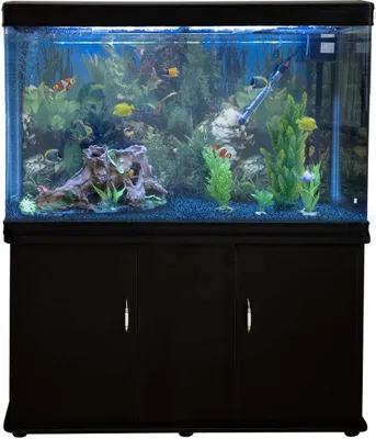 Produktbild von Monstershop Aquarium Starter Komplettset Aquarium mit passendem Unterschrank Kies Aquarium-Hintergrund
