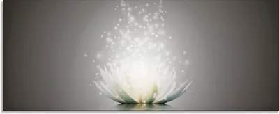 Produktbild von ARTland Glasbild Magie der Lotus-Blume - grau Größe: 125x50 cm