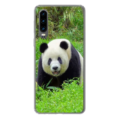 Produktbild von MuchoWow® Handyhülle Schutzhülle Hülle für Huawei P30 Panda - Gras - Tier Silikon Softcase Handy Hülle - Kartenbesitzer