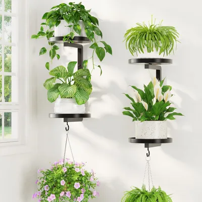 Image de Supports muraux pour plantes, ensemble de 2, finition noire