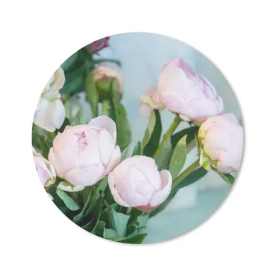 Produktbild von MuchoWow® Mauspad Mousepad Knospen von rosa Pfingstrosen in einer Vase 50x50 cm - Mousepads - Maus Mat - Pad - Mausunterlage - Vinyl