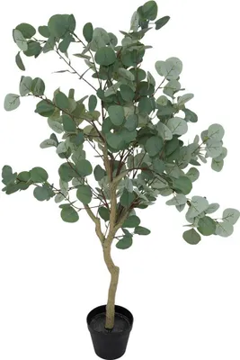 Zdjęcie produktu dla Sztuczna roślina eukaliptus, 127 cm
