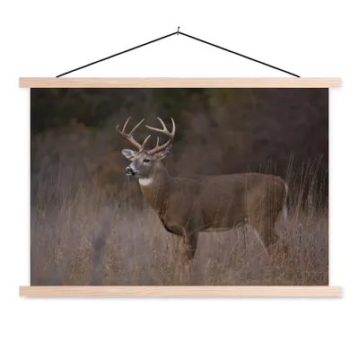 Produktbild von MuchoWow® Textilposter Herbst - Hirsche - Gras - Natur - Tiere 60x40 cm mit holzfarbenen Rahmen - Bilder