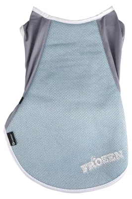 Image de Manteau rafraichissant pour chien
