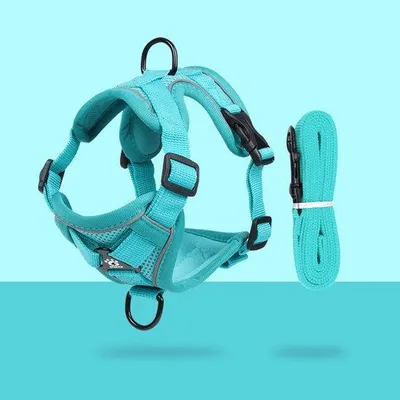 Image de Harnais pour chat avec laisse, harnais réglable, système anti-échappement, bandes réfléchissantes - pour chats, chatons et chiens - sécurité et confort réunis dans un seul produit - Bleu