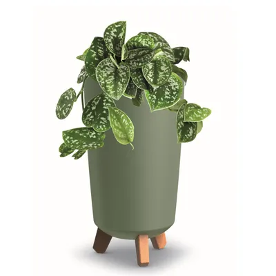Produktbild von Blumentopf mit Füßen Hoh Tube Pflanzkübe D 20 cm aus Kunststoff matte Grün Übertöpfe Geldbaum Kakteen Gummibaum Glücksfeder