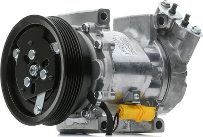 Produktbild von DELPHI CS20651 6V12 Klimaanlage Klimakompressor PAG 46 für RENAULT Clio III Schrägheck (BR0/1, CR0/1) TWINGO II (CN0) MODUS / GRAND MODUS (F/JP0)