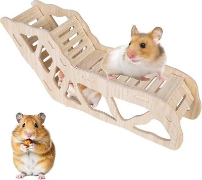 Produktbild von Holztunnel für kleine Hunde, Kleintiere, Hamster, Gerbils, Maus