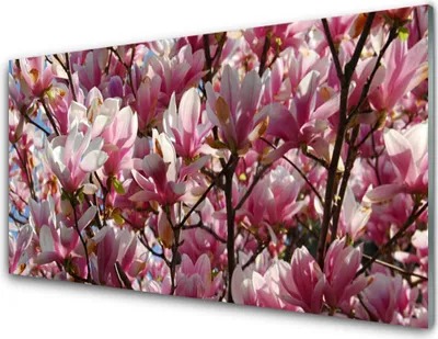 Produktbild von Acrylglasbilder 100x50 Wandbild Druck Zweige Blumen Pflanzen
