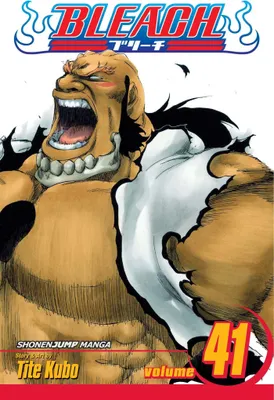 Produktbild von Bleach, Vol. 41