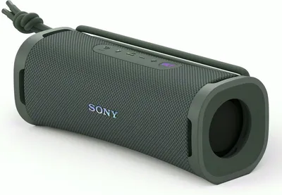 A gray Sony Bluetooth speaker is shown against a white background.