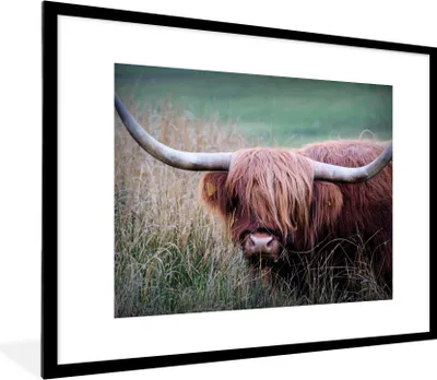 Produktbild von MuchoWow® Gerahmtes Poster Schottischer Highlander - Hörner - Gras 80x60 cm - Poster mit Schwarzem Bilderrahmen Wandposter Rahmen Foto Bilder - Schlafzimmer-Dekorationen - Fotoposter