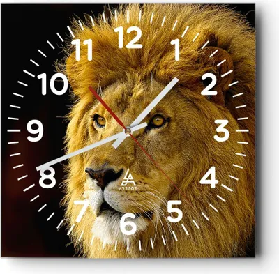 Produktbild von Wanduhr - Quadrat - Glasuhr - Löwe Tiere Tierwelt - 40x40cm - Schleichendes Uhrwerk - Lautlos - zum Aufhängen bereit - Dekoration Modern - Wanddekoration aus Glas - C4AC40x40-1237