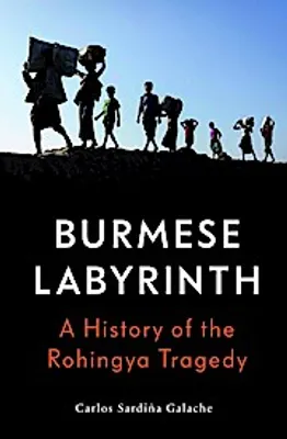 Zdjęcie produktu dla The Burmese Labyrinth