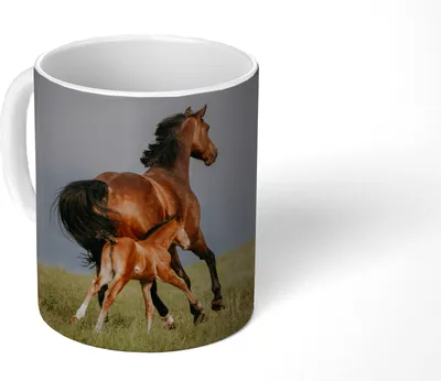 Produktbild von MuchoWow® Tasse Kaffeetasse Kaffeebecher 350 ml Tiere - Pferde - Fohlen Teetasse - Fototasse - Becher - Keramikbecher - Teebecher - Kaffeetasse - Bürotasse