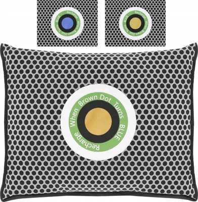 Image de Déshumidificateur - absorbeur d'humidité pour voiture