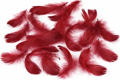 Produktbild von Dekofedern 15g, ca. 5-10cm, 15 Farben zur Auswahl, Farbe:Bordeaux