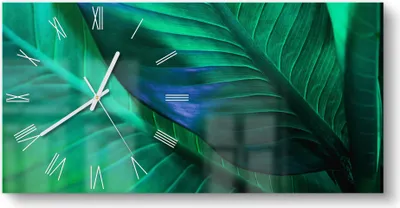 Produktbild von DEQORI Glasuhr 60x30 cm Römisch 'Tropenblattstruktur' Wanduhr Glas Uhr Design leise