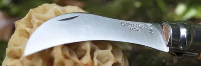 Image de OPINEL Couteau à champignons avec brosse, bois de hêtre (254144)