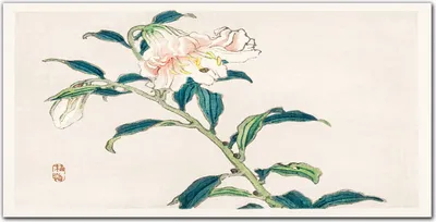 Produktbild von Coloray - Bild aus Glas - Glasbilder - 100 x 50 cm - Wanddekoration Wohnzimmer Glasblock mit Bild Gehärtetes Glas Dekoration Küche - Asiatische Blumen