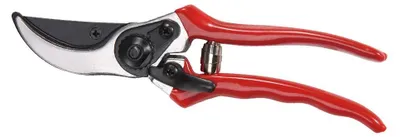Immagine prodotto di forbici da potatura ideal star 20 cm