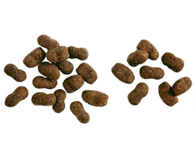 Image de BELCANDO Baseline Young 1,0 kg