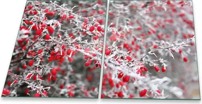 Produktbild von Herdabdeckplatte Glaskeramik 2-Teilig 2x40x52 Natur Rot Abdeckung Spritzschutz Glas
