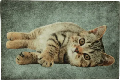 Produktbild von Fußmatte Türmatte Graue Tabby-Katze 75x50 cm – rutschfest – Mars & More