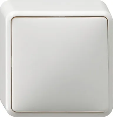 Immagine prodotto di GIRA 010613 Interruttore elettrico bianco (010613)