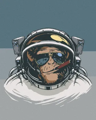Produktbild von Zuty - Malen nach Zahlen - AFFE WELTRAUMFAHRER, 40x50 cm, ohne Keilrahmen