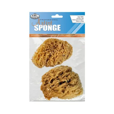 Immagine prodotto di R&L Spugna di lana grande da 11 cm - confezione da 2 pezzi
