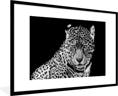 Produktbild von MuchoWow® Gerahmtes Poster Leopard - Tiere - Schwarz - Weiß - Porträt 90x60 cm - Poster mit Schwarzem Bilderrahmen Wandposter Rahmen Foto Bilder - Wanddekoration - Fotos