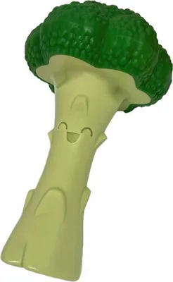 Image de Jouet pour chien Nylabone vert L artificiel