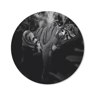 Produktbild von MuchoWow® Mauspad Mousepad Tiere - Tiger - Dschungel - Schwarz - Weiß 40x40 cm - Mousepads - Maus Mat - Pad - Mausunterlage - Schreibtisch Accessoires