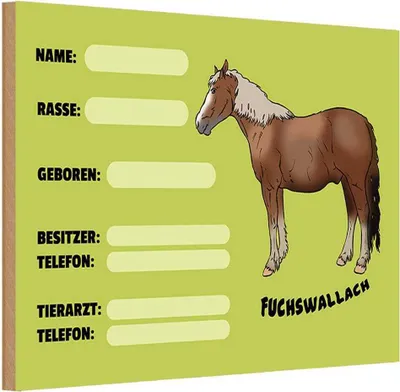 Produktbild von vianmo Holzschild 20x30 cm Pferd Fuchswallach Name Besitzer Rasse Tier Haustier