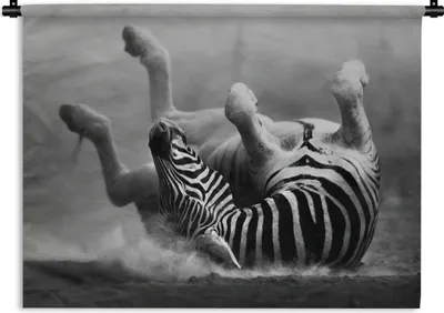 Produktbild von MuchoWow® Wandteppich Wandbehang Zebra - Tiere - Schwarz - Weiß 150x112.50 cm Tapisserie Dekoration Wandtuch - Wanddecke - Wandteppiche